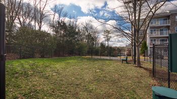 Dog park